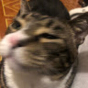 Meet your Posher, Nightmare